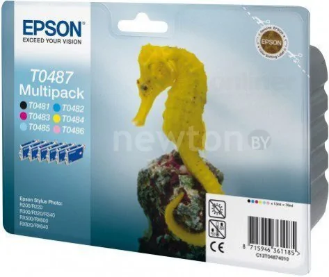 Картридж Epson EPT04874010 (C13T04874010)