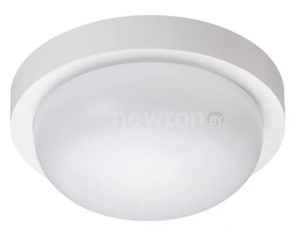 Уличный накладной светильник Novotech Opal 358014