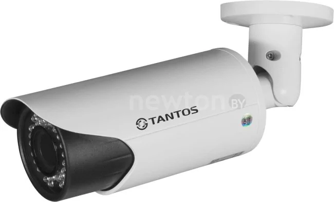 IP-камера Tantos TSi-Ple2VPZ (2.8-12)