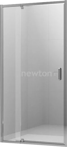 Душевая дверь Ambassador Elysium 90x200 111021103KX