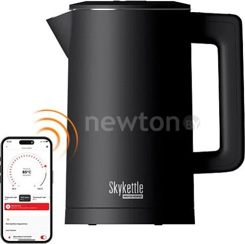 Электрический чайник Redmond SkyKettle KM231S (черный)