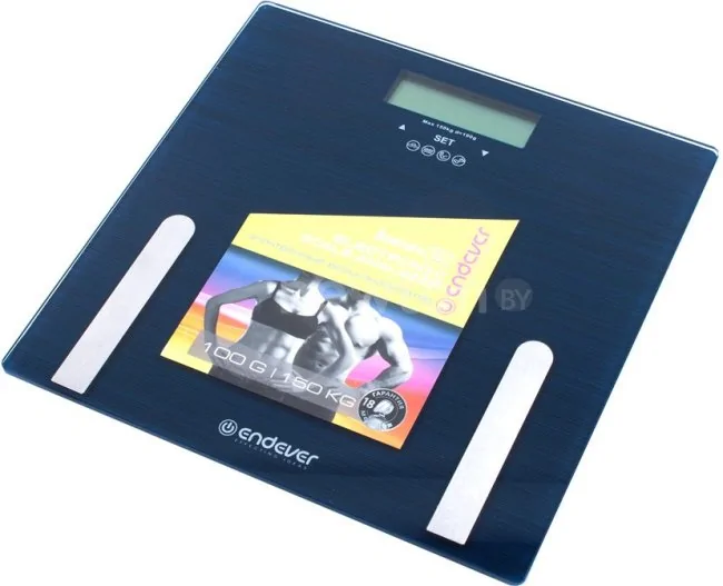 Напольные весы Endever Aurora 550
