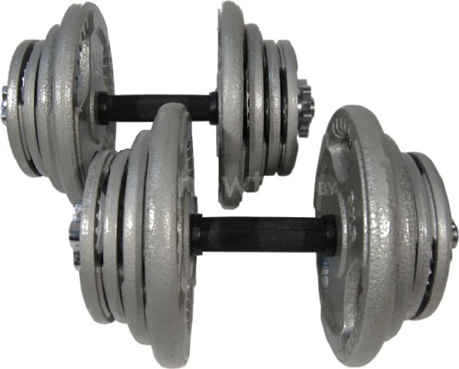 Набор гантелей Atlas Sport Хаммертон 2x21.5 кг