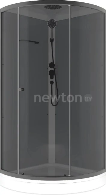 Душевая кабина Domani-Spa Simple 100x100 DS01Sm110LGrT00.Gt-V1.2-Black