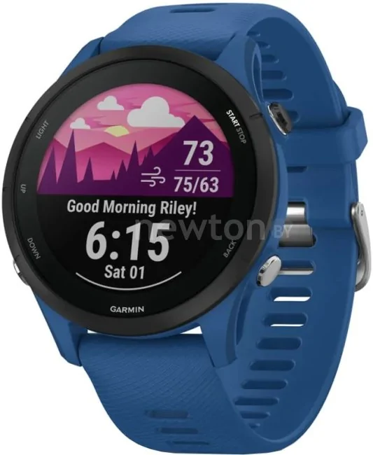 Умные часы Garmin Forerunner 255 46 мм (темно-синий/черный)