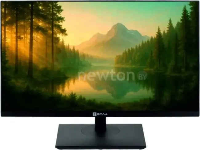 Моноблок ТЕСЛА R24BP5 1416500