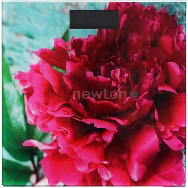 Напольные весы Leben 487-042