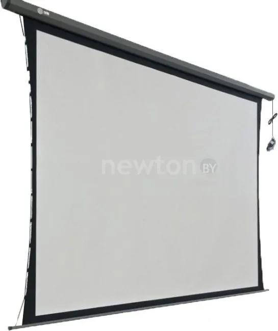 Проекционный экран CACTUS Professional Tension Motoscreen CS-PSPMT-149X265