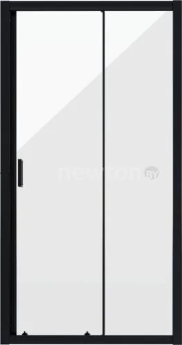 Душевая дверь Niagara NG-82-11AB 110x190