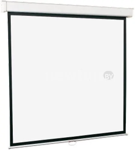 Проекционный экран ScreenMedia Goldview 244x244 SGM-1106