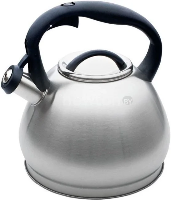 Чайник Webber BE-0553