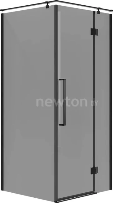 Душевой уголок Niagara NG-2831-34BLACK 90x195 (черный матовый/тонированное стекло)