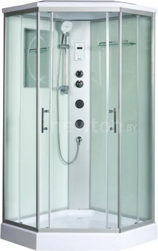 Душевая кабина WeltWasser WW500 Nesse 904