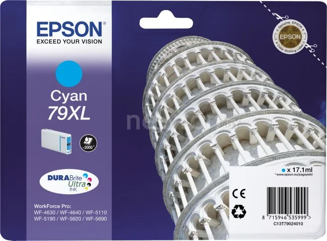 Картридж Epson C13T79024010