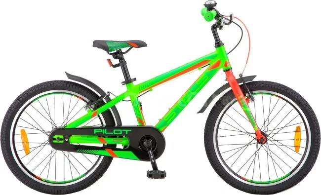 Детский велосипед Stels Pilot 250 Gent 20 V010 (зеленый/красный, 2019)