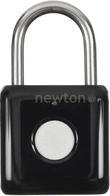Дверной замок Digma SmartLock P1 (черный)