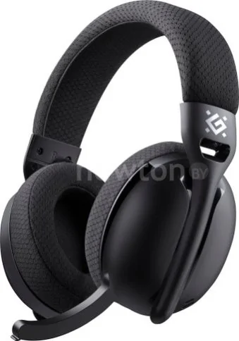 Наушники Defender Triple (черный)