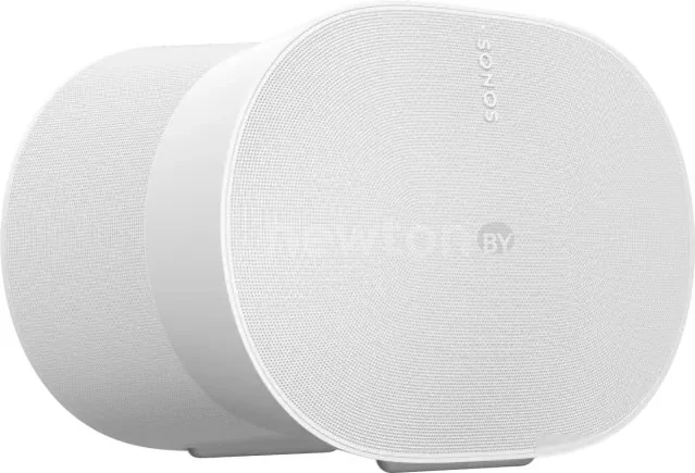 Беспроводная аудиосистема Sonos Era 300 (белый)