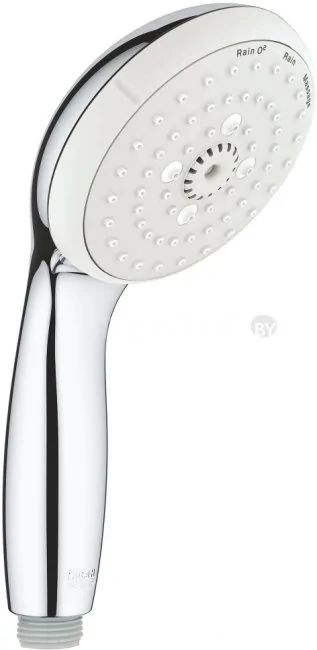 Душевая лейка Grohe New Tempesta 100 28419002