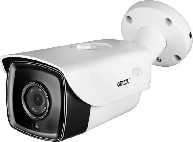 IP-камера Ginzzu HIB-4061O