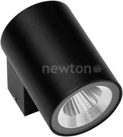 Фасадный светильник Lightstar Paro 350674