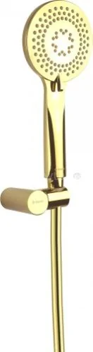 Душевой гарнитур Deante Arnika Gold NQA Z41K