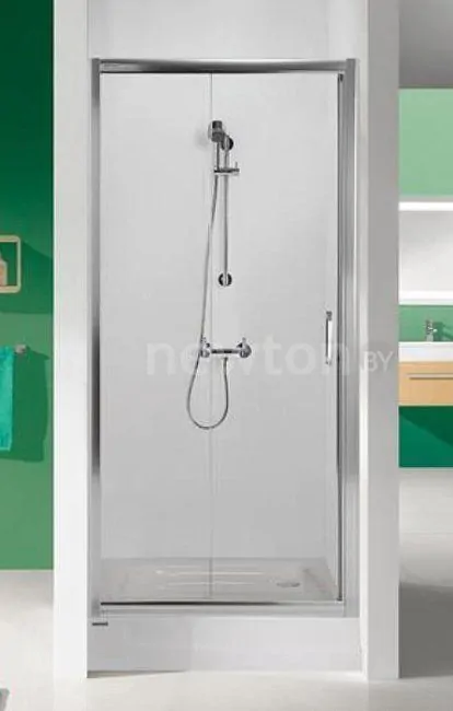 Душевая дверь Sanplast D2/TX5b-120-S sbGY