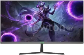 Игровой монитор ELSA EA241S Pro