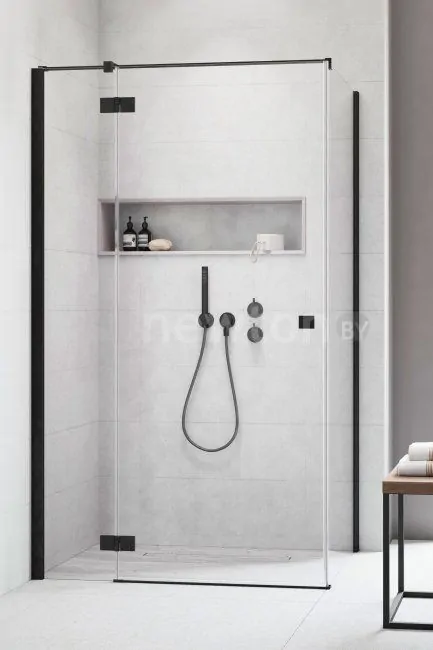 Душевая дверь Radaway Essenza New Black KDJ 120L