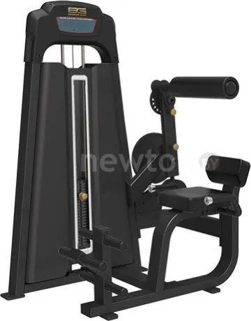 Маятниковый Bronze Gym LD-9089