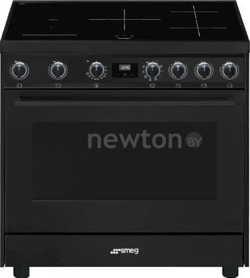 Кухонная плита Smeg C91IEA9