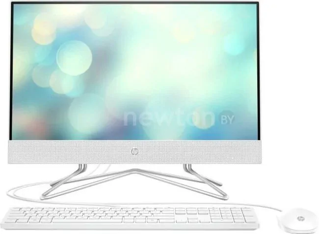 Моноблок HP 22-df0101ur 496W8EA