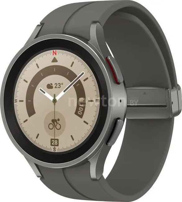 Умные часы Samsung Galaxy Watch 5 Pro 45 мм LTE (серый титан)