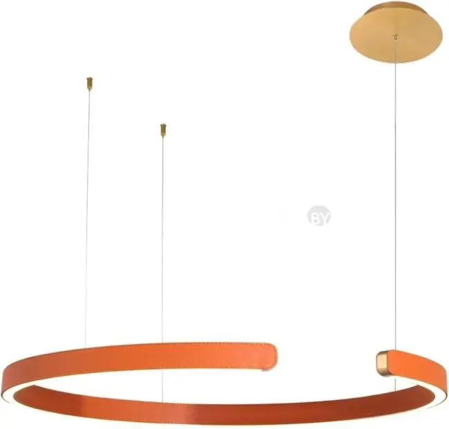 Подвесная люстра LOFT IT Ring 10025/600 Orange