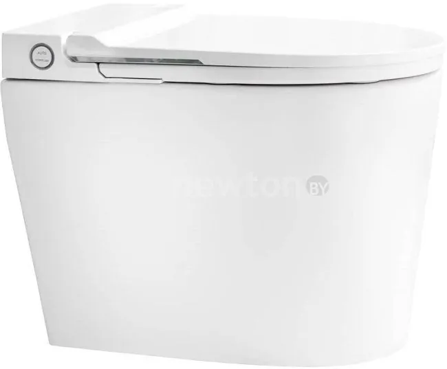 Унитаз Brunnen WAL BW-2402
