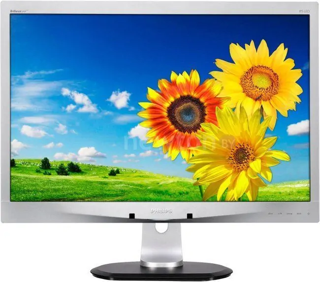 Монитор Philips 240P4QPYNS/00