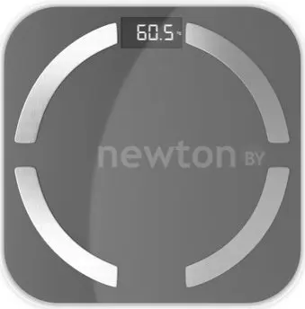 Напольные весы CENTEK CT-2425 (серый)