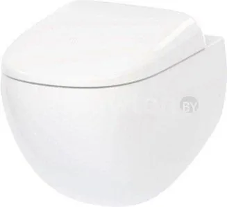Унитаз AM.PM Sensation FlashClean C301700WH