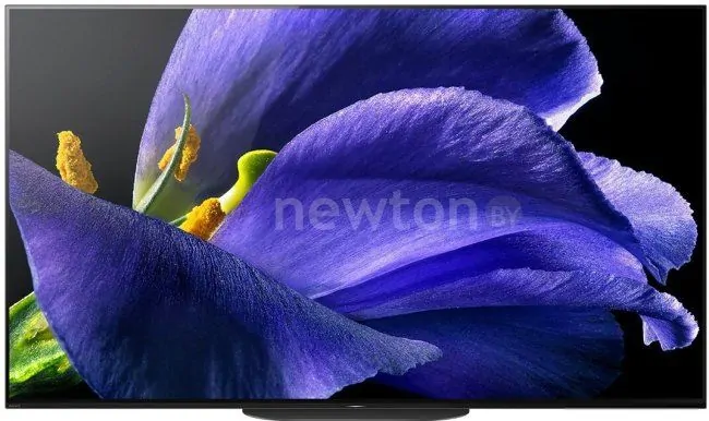 OLED телевизор Sony KD-55AG9
