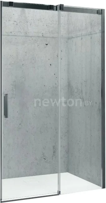 Душевая дверь Riho Ocean G006003120