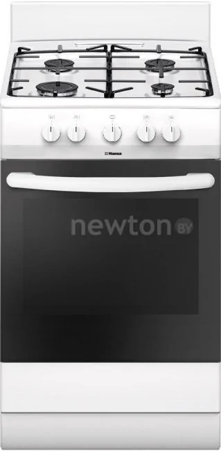 Кухонная плита Hansa FCGW51041