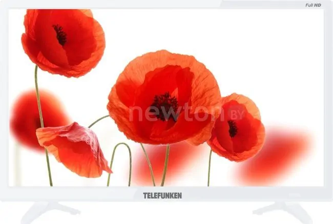 Телевизор TELEFUNKEN TF-LED22S63T2