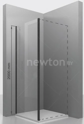 Душевая стенка RGW Z-050-3B 120 (черный/прозрачное стекло)