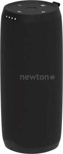 Беспроводная колонка Ritmix SP-420B