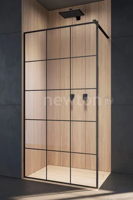 Душевая стенка Radaway Modo New Black II Factory 120