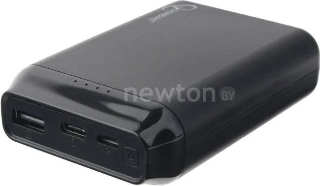 Портативное зарядное устройство Gembird GPB-101