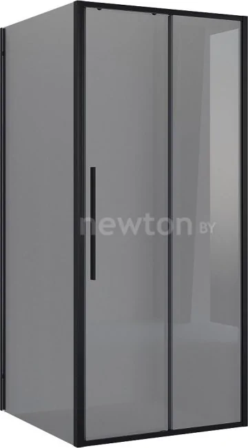 Душевой уголок Niagara 110x100x195 NG-85-11TB-TB100-34 (черный матовый/тонированное стекло)