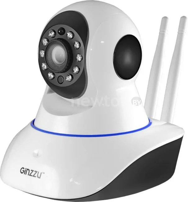 IP-камера Ginzzu HWD-1032X
