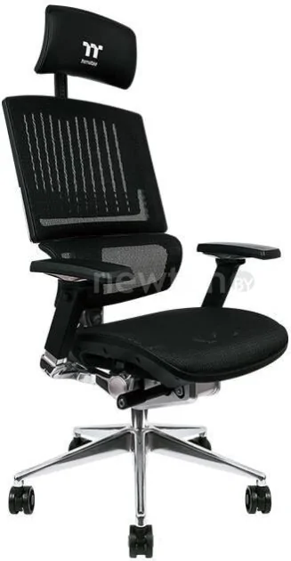 Кресло Thermaltake CyberChair E500 GGC-EG5-BBLFDM-01 (черный)