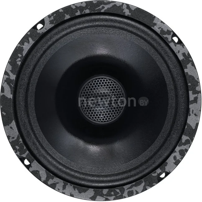 Коаксиальная АС DL Audio Anaconda 165 Coax